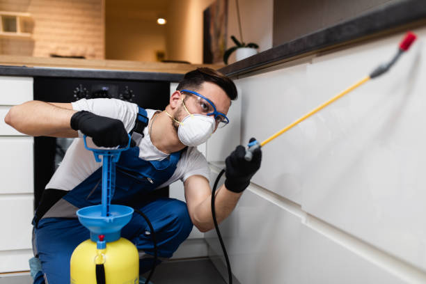 Best Termite Control Services  in Crowley Lake, CA