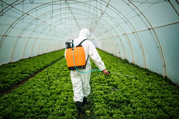 Trusted Crowley Lake, CA Pest Control Experts