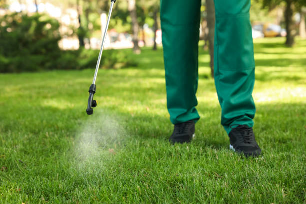 Best Affordable Pest Control Services  in Crowley Lake, CA