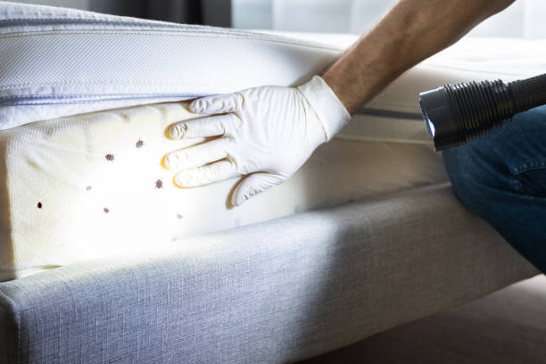 Best Pest Prevention Services  in Crowley Lake, CA