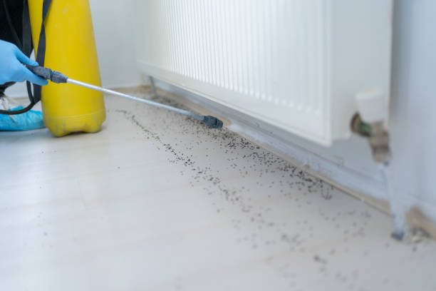 Best Commercial Pest Control Services  in Crowley Lake, CA