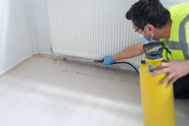 Best Flea Control Services  in Crowley Lake, CA