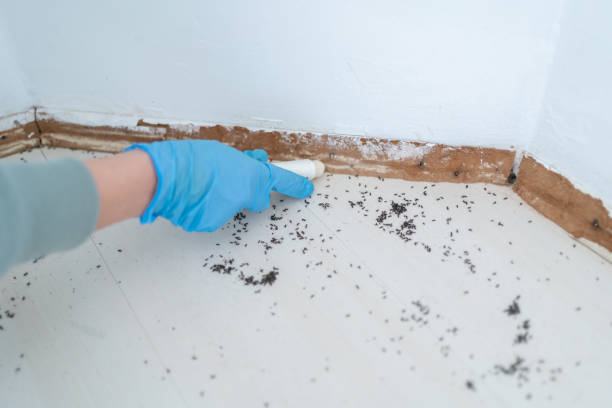 Best Pest Inspection Near Me  in Crowley Lake, CA